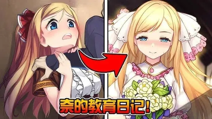 奈的教育日记 汉化版 专题图